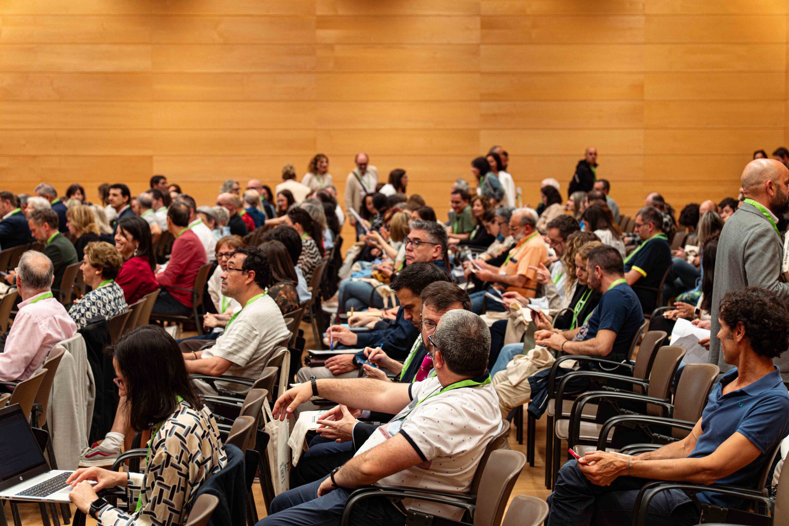 DSC05254-Mejorado-NR