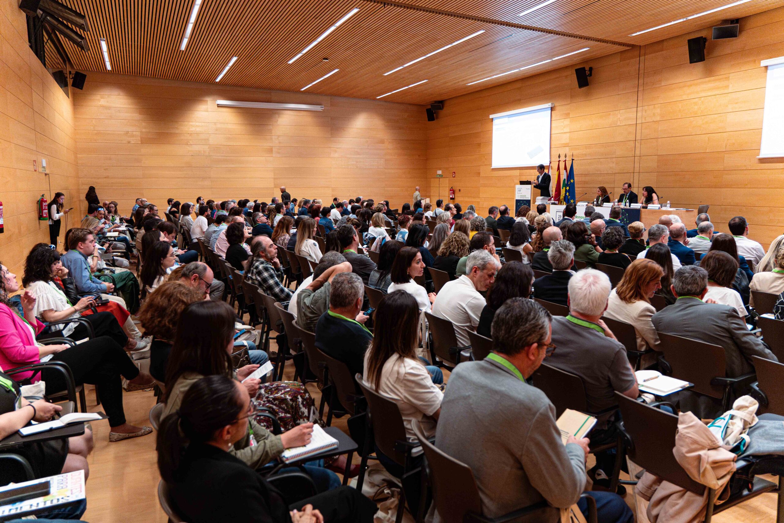 DSC05685-Mejorado-NR