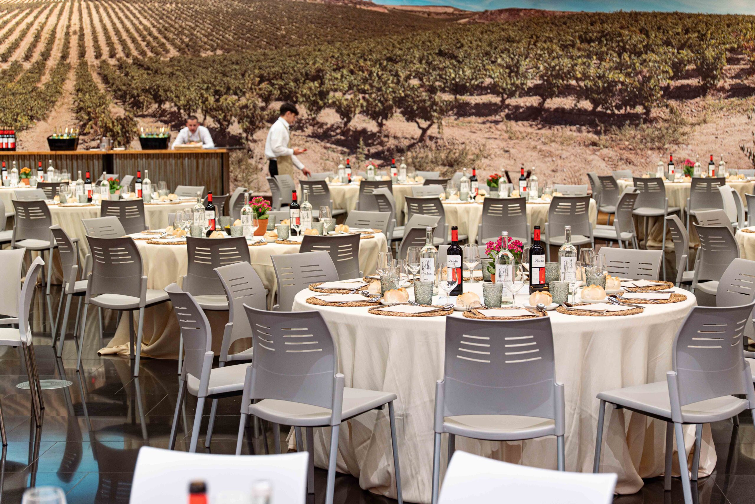 DSC05784-Mejorado-NR