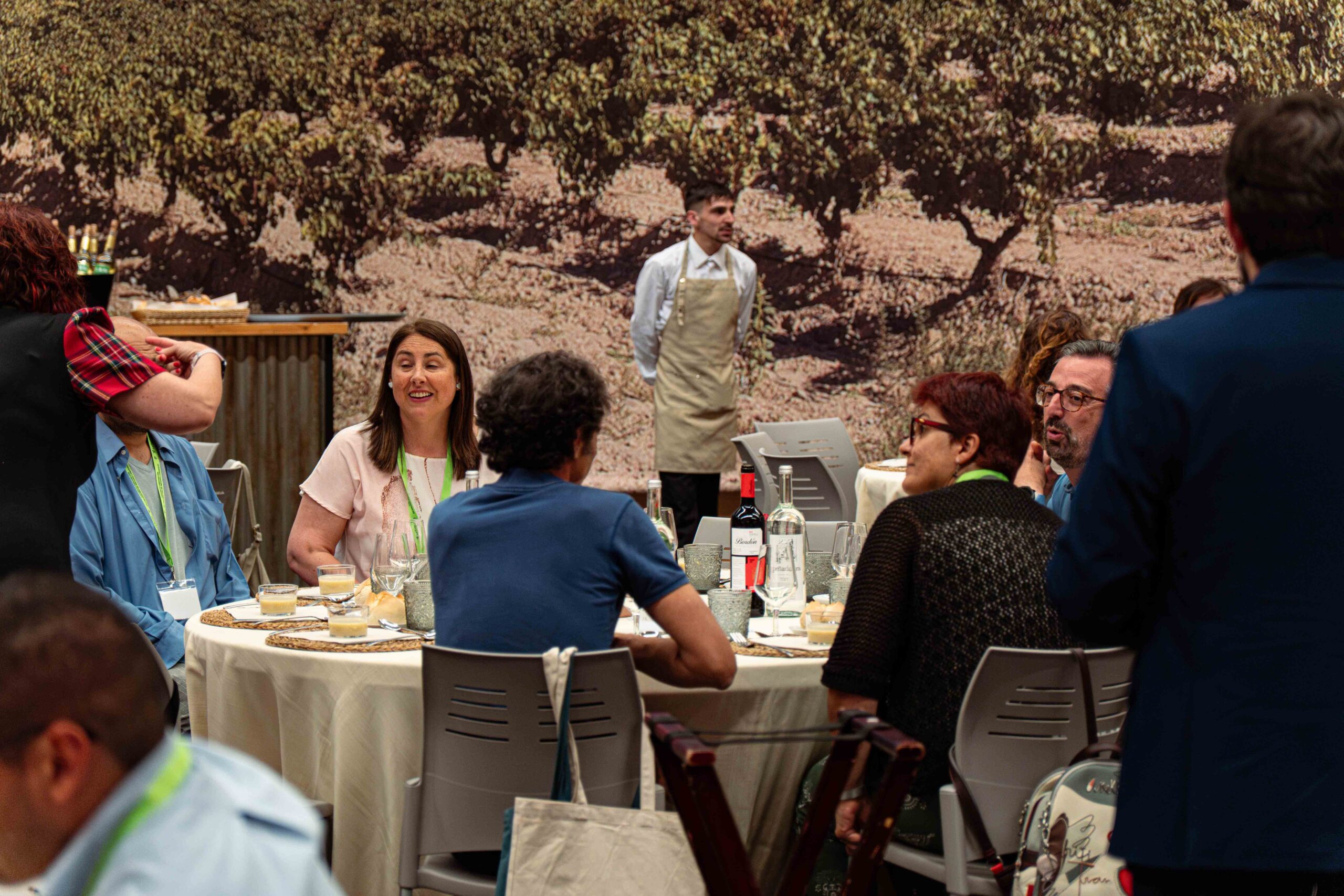 DSC05867-Mejorado-NR